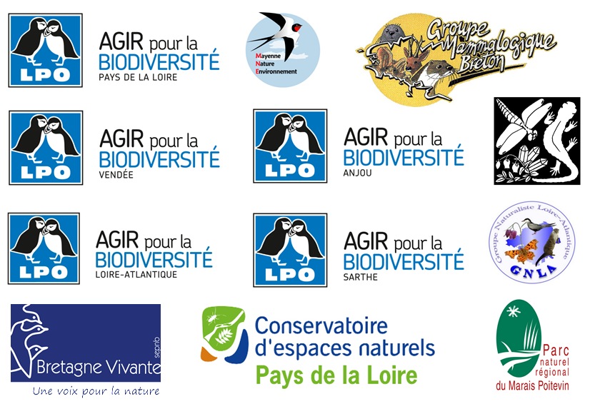 Listes des espèces d'oiseaux, de mammifères, d'amphibiens et de reptiles connus dans les communes des Pays de la Loire